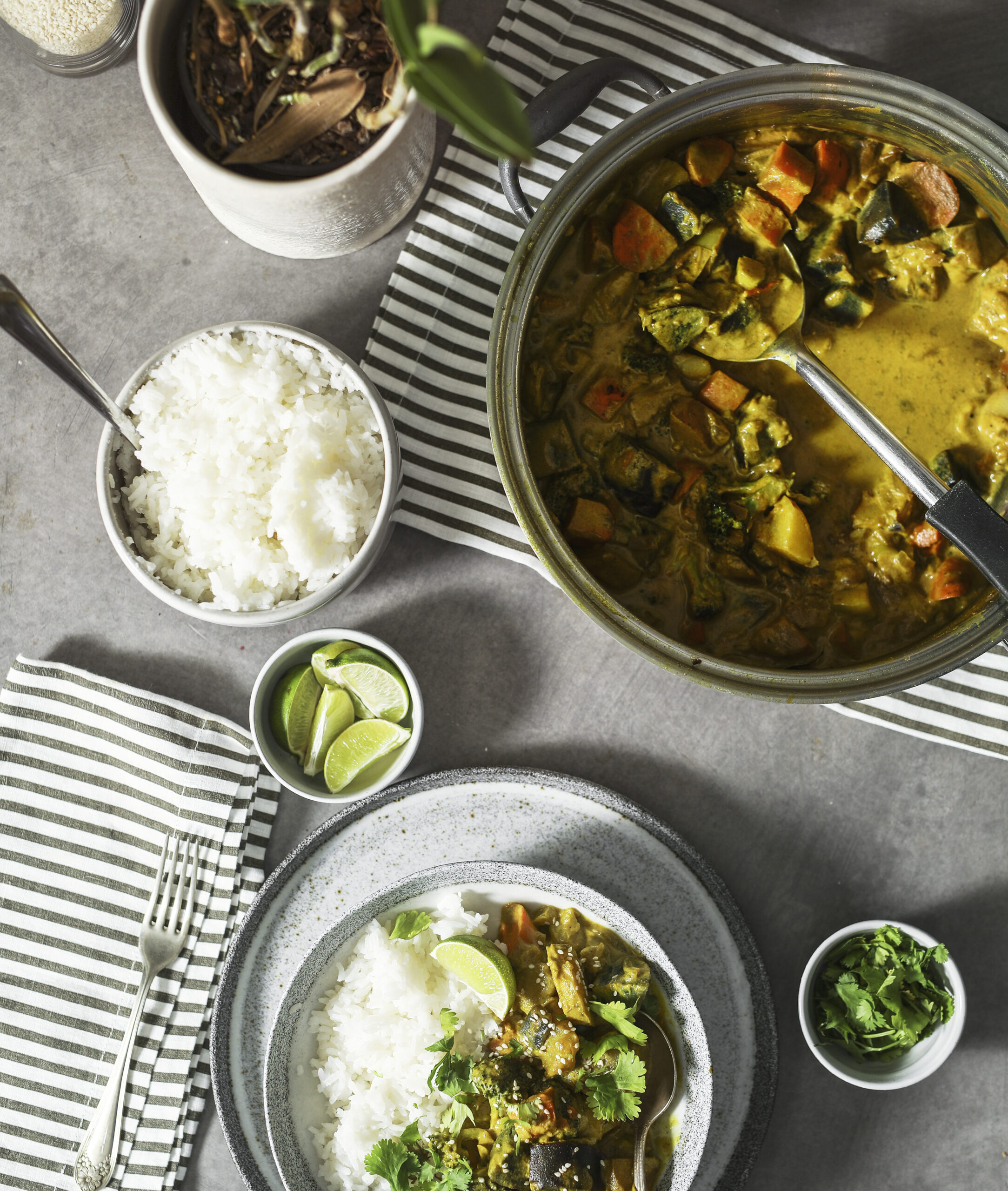 Ayurvedic Diet & Lifestyle Plan